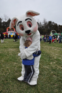 bunny hug small pic