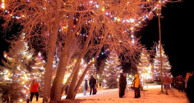 great falls va holiday tree lighting