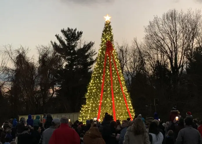 Great Falls Celebration of Lights Christmas Tree