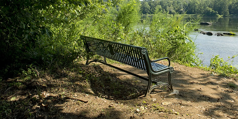 Picture of riverbend park a great place to propose
